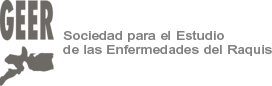 logo geer